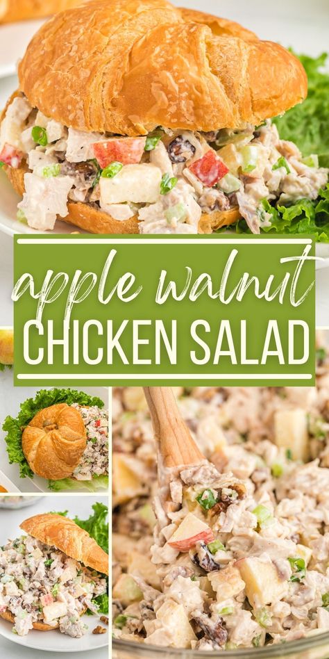 Chicken Salad Recipe With Walnuts And Apples, Chicken Walnut Salad Sandwich, Chicken Salad With Green Apples, Paradise Bakery Chicken Walnut Salad, Chicken Apple Walnut Salad Recipe, Apple Chicken Salad Sandwich, Chicken Salad With Apples And Celery, Green Apple Chicken Salad, Chicken Salad With Apples Recipe