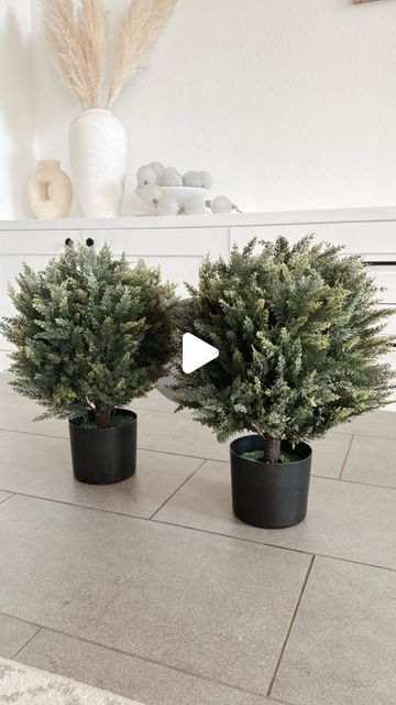 Lauren | Home Decor | Amazon Finds on Instagram: "Comment ‘BOXWOOD’ and I’ll send the links directly to your DMs. ⁣
⁣
These boxwood faux cedar topiaries are so realistic. They come in a set of 2 and are a great price! There are several on sale during Amazon’s Big Spring Sale. ⁣
⁣
⁣
⁣
#affordabledecor #sale #affordablehomedecor #boxwood #springhomedecor #amazonsale #springsale #amazonbigspringsale #patiodecor #frontporch #planters #topiary" Boxwood Planters, Amazon Sale, Boxwood Topiary, Affordable Decor, Spring Sale, Spring Home Decor, Affordable Home Decor, Patio Decor, Instagram