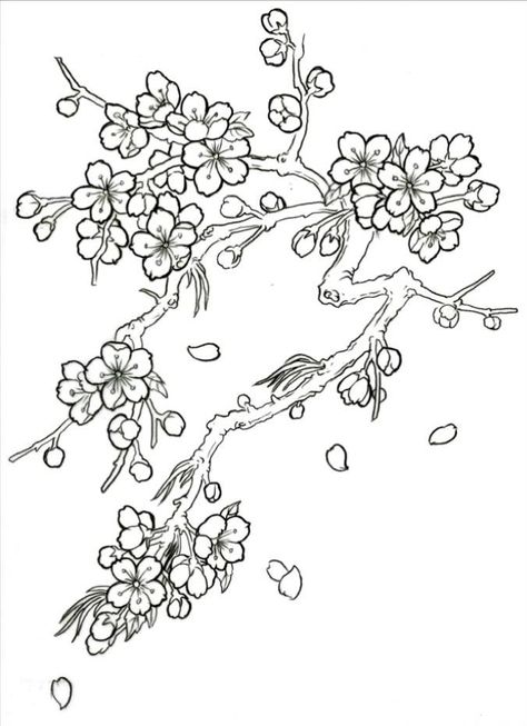 Japanese Cherry Blossom Tree Drawing Sketch Coloring Page Cherry Blossom Drawing, Tree Coloring Page, Tree Sketches, Cherry Blossom Art, Cherry Blossom Tattoo, Blossom Tattoo, Blossoms Art, Desenho Tattoo, Plant Drawing