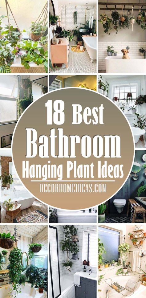 Best Hanging Plant Ideas For Bathroom. Bathroom plants are such a simple and affordable way to update your bathroom, whether it’s a single trailing plant on the windowsill or a full green plant wall. #decorhomeideas Bathroom Plants Hanging, Hanging Plant Ideas, Bathroom Plants Decor, Best Bathroom Plants, Plant Ladder, Indoor Plant Wall, Room Vibes, Hanging Plant Wall, Hanging Plants Indoor