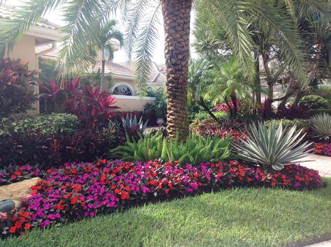 Foxtail Fern, Contemporary Landscape Design, Tropical Landscape Design, Florida Landscaping, Tropical Garden Design, Tropical Backyard, Front Yard Design, Estate Garden, Yard Design