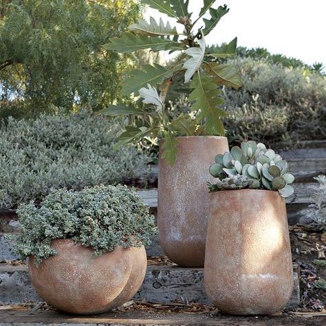 Architecture Sustainable, Succulent Landscape Design, Cal Poly, Succulent Landscaping, Rustic Planters, Cement Planters, Modern Planters, Garden Containers, Rustic Garden Decor