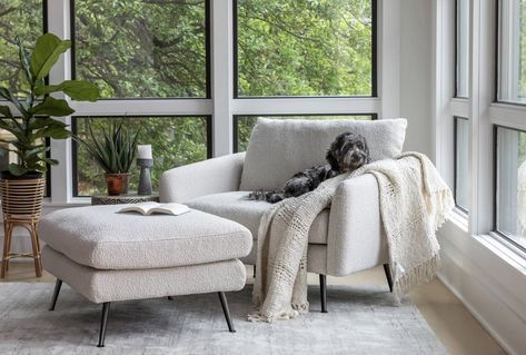 The Best Wide Lounger: Albany Park Park Armchair Nook Chair, Small Dining Nook, Pink Velvet Couch, Reading Nook Chair, Albany Park, Parks Furniture, Chic Sofa, Blue Velvet Sofa, Comfortable Couch