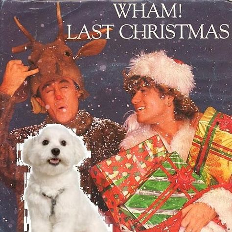 27 Versions Of Wham!’s "Last Christmas" Sung By Artists Around The World Old Christmas Songs, Christmas Cds, Christmas Charts, Christmas Songs Lyrics, Christmas Week, Christmas Albums, Classic Songs, Christmas Labels, Music Business