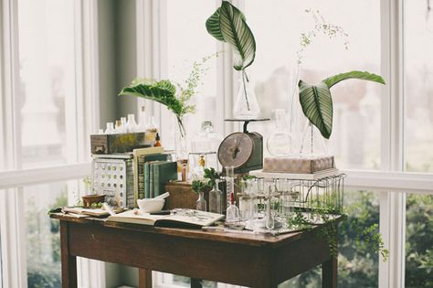 botanical science decor Botanical Laboratory, Vintage Location, Botanical Science, Science Wedding, Botanical Interior, Botanical Wedding Inspiration, Botanical Inspiration, Classroom Window, Photography Concept