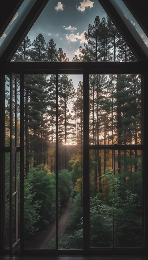 Landscape Through Window, Forest View From Window, Window Forest View, House With Lots Of Windows, Windows Aesthetic, Windows Wallpaper, Beautiful Scenery Pictures, Forest Photos, Witchy Wallpaper