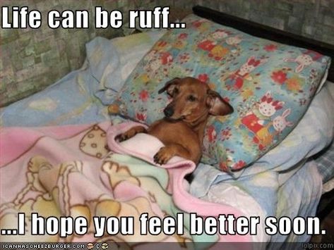 www.i hope you feel better.com | Life can be ruff... ...I hope you feel better soon. Feel Better Meme, Feel Better Funny, Get Well Soon Quotes, Hope Youre Feeling Better, Get Well Messages, Feel Better Soon, Feel Better Quotes, Get Well Quotes, Get Well Wishes