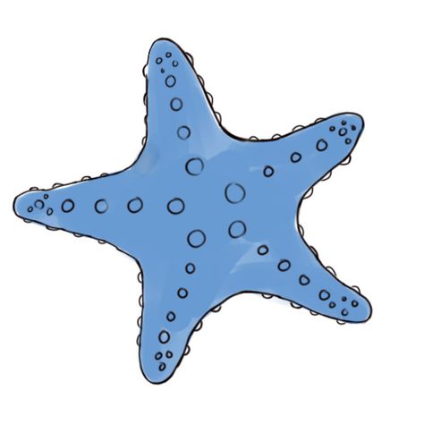 wikiHow to Draw a Starfish -- via wikiHow.com Easy Drawing Ideas For Beginners, Starfish Drawing, Cool Creatures, Nautical Wreaths, Cartoon Starfish, Calvin Und Hobbes, Starfish Tattoo, Drawing Ideas For Beginners, Easy Drawing Ideas