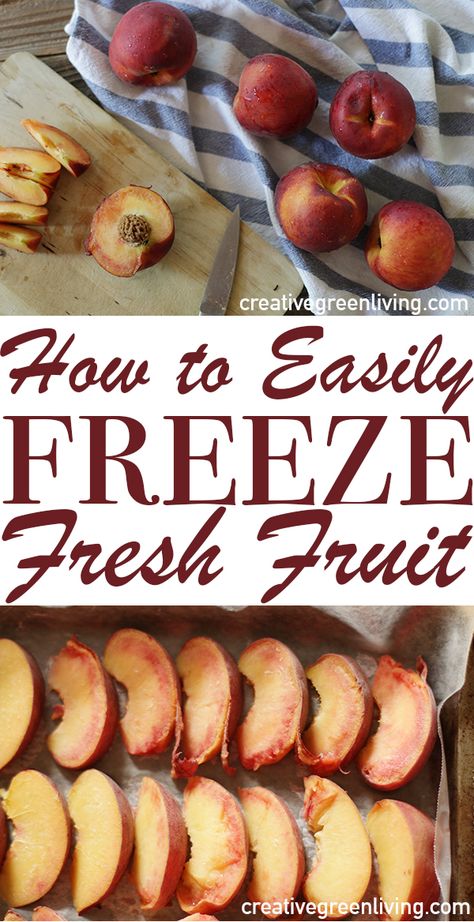 Can You Freeze Nectarines, How To Freeze Nectarines, Freezing Nectarines, Freezing Food Guide, Freeze Fruit, Freezing Peaches, Dehydrator Recipes Fruit, Freezing Veggies, Freezer Hacks