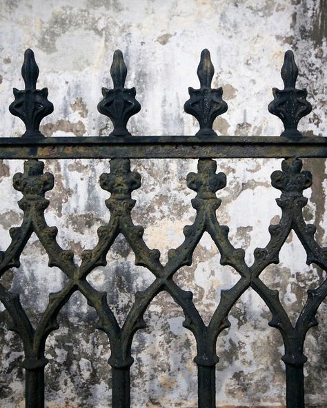 Aesthetic Fence, Iron Fences, Fence Aesthetic, Gothic Fence Ideas, Victorian Fencing, Gothic Fence, Metal Fence Aesthetic, Fence Aesthetic Grunge, Victorian Wrought Iron Fence