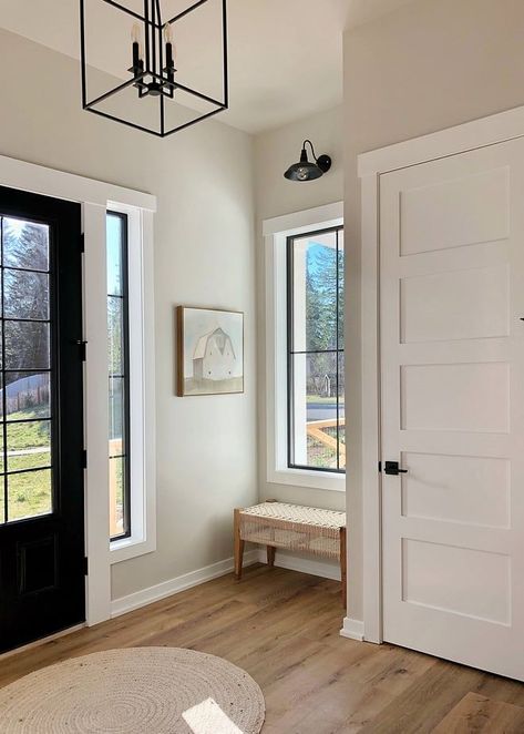 Did you know using a whole house paint color will help you create a cohesive flow throughout your entire home? Learn more about my favorite neutral colors as well as tips on how to select the right color the first time! See the full post here: https://inspirationformoms.com/best-whole-house-paint-colors/ #housepaint Black Window Trims, Neutral Wall Colors, Trim Paint, Greige Paint Colors, Black Interior Doors, Agreeable Gray, Farmhouse Paint Colors, Karim Rashid, Clouds Photography