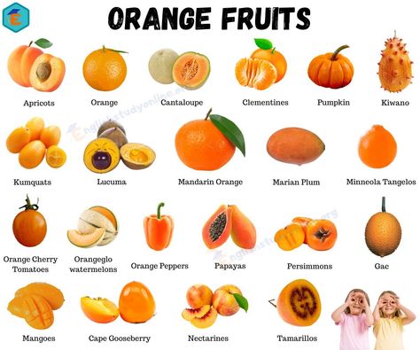 List Of Veggies, Orange Ideas, Fruits And Vegetables List, Fruits Name In English, Ideas Name, Orange Cauliflower, Types Of Berries, Squash Vegetable, Fruit Names