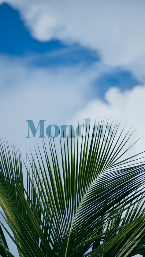 Monday Snap, Creative Status, Morning Snaps, Morning Snap, Sunset Captions For Instagram, Nature Photography Quotes, Instagram Design Creative, Learn Photo Editing, Sky Photography Nature