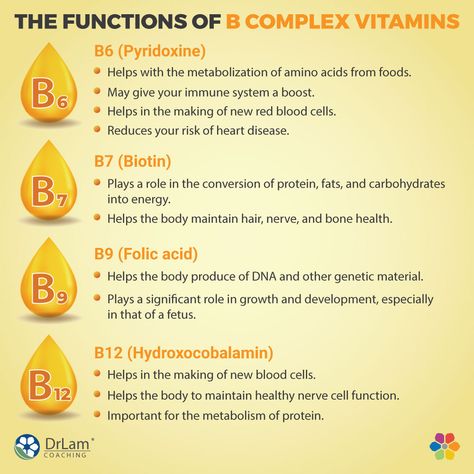 The Functions of B Complex Vitamins Muscle Weakness, Vitamin B Complex, B Complex, Beef Liver, Pantothenic Acid, Hormone Health, Vitamin B6, Adrenal Fatigue, Cholesterol Levels