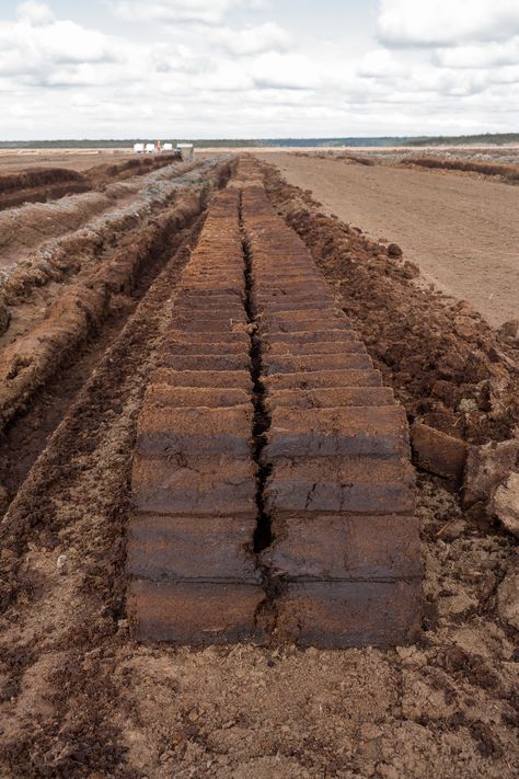 Peat @Drabinu peat bog. Hampton Court Flower Show, Peat Bog, Land Use, Peat Moss, Little Cottage, Flower Show, Landscape Wallpaper, Latvia, Railroad Tracks