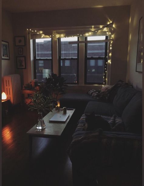 Little Apartment Aesthetic Bedroom, Dark Cozy Apartment Aesthetic, Dark Aesthetic Apartment Interiors, Nyc Small Apartment Aesthetic, New York Apartment Aesthetic Interior, Chicago Apartment Aesthetic, Canadian Apartment, Apartment Chicago, Room Decor Rugs