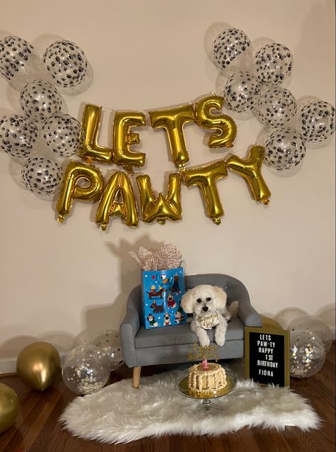 Dogs First Birthday Ideas, First Birthday Dog, Simba Cake, Doggy Birthday, Dog First Birthday, Celebrating Birthday, Themed Photoshoot, Bee Birthday Party, Pet Birthday