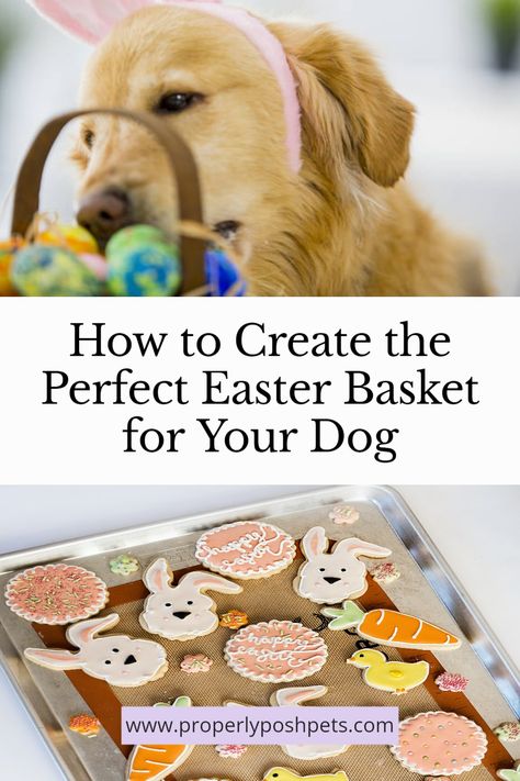 Easter Dog Treats, Dog Easter Basket, Peeps Treats, Homemade Easter Baskets, Dog Easter, Easter Bunny Treats, Peeps Easter, Healthy Dog Treats Homemade, Easter Dog