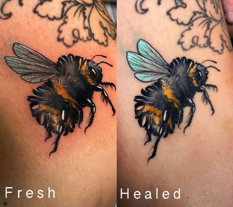 S H A E M O T Z on Instagram: “Little Chonk is all healed! @erinbtattoos is the BEES KNEES and used @secondskintac to heal this bad boy and it looks mint! (Literally…” Neotrad Bee Tattoo, Bee Color Tattoo, Neo Traditional Bumble Bee Tattoo, Neotraditional Bee Tattoo, Colorful Bee Tattoo, Bug Tattoo Color, Bee Tattoo With Flowers, Neo Traditional Bee Tattoo, Insect Sleeve Tattoo