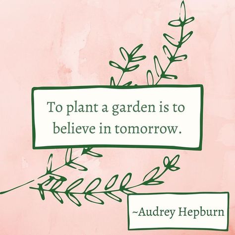 I love this quote! I think it would make a very nice wallpaper as well. Very MOTIVATING! Planting Quotes, Plant Quotes, Plant Business, Plants Display, Landscape Planner, Procreate Ideas, Mom Aesthetic, 50 Quotes, Plant Room