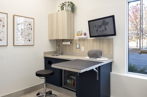 Animal Hospital Design, Vet Hospital, Vet Medicine, Vet Clinic, New Hospital, Clinic Interior Design, Vet Med, Pet Businesses, Vet Clinics