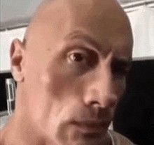 The Rock Eyebrow, Reaction Pics, Really Funny Pictures, Reaction Pictures, Funny Images, The Rock, Really Funny, Eyebrows, Funny Pictures