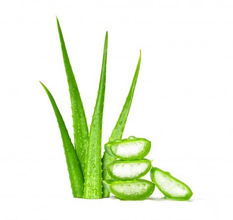 Fresh green aloe vera leaves on white ba... | Premium Photo #Freepik #photo #leaf #green #nature #plants Aloe Vera Image, Makeup Remover Recipe, Cut Pic, Aloe Oil, Forever Living Business, Pure Aloe Vera Gel, Forever Products, Bottle Design Packaging, Pure Aloe Vera