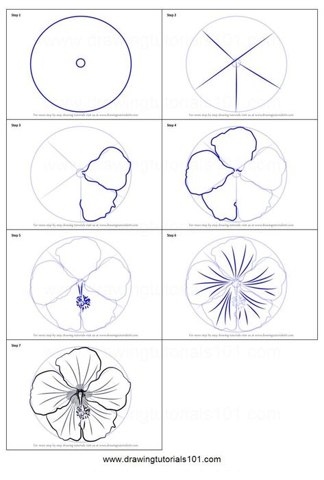 Drawing Tutorial Flower Step By Step, How To Draw A Violet Flower Step By Step, Round Flower Drawing, How To Flower Drawing, How To Draw Flower Petals, Flower Pedals Drawings, Tropical Flowers Drawing Step By Step, How To Draw Money Step By Step, Learn To Draw For Beginners Step By Step