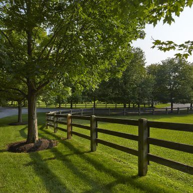 Rooster Hill Farm | Hollander Design Large Yard Landscaping Ideas, Spilled Flower Pot Ideas, Spilled Flower Pot, Garden Corner Ideas, Hollander Design, Large Yard Landscaping, Acreage Landscaping, Sophisticated Garden, Farm Landscaping