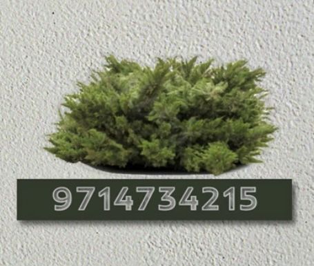 Roblox Bush Decal, Modern Garden Bloxburg, Bushes Bloxburg Codes, Bloxburg Plant Decals Codes Bush, Bush Decal Codes For Bloxburg, Bloxburg Garden Decals Codes, Roblox Window Decals Id, Realistic Tree Decals Bloxburg, Bloxburg Bushes Decals Codes