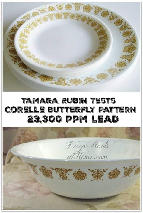 Tamara Rubin Tests Corelle Butterfly Pattern: 23,300 ppm Lead. #health #healthy #home #kids #children #ideas #tips #toxic #poison #grandma #wellness #vintage #natural #corningware #dishes #bowls #cups #plates #antiques #diningroomdecorating #kitchendecor #kitchenideas #safety #safet #safetyfirst #painting #paint #antique #china #chinaglaze #butterfly #pattern #pretty Corelle Plates, Corelle Patterns, Corelle Dishes, Paint Patterns, Sleeping Well, Healthy Wellness, Vintage Corelle, Lead Paint, Pattern Bowl