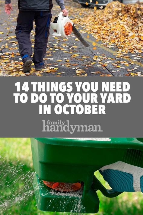 14 Things You Need to Do to Your Yard in October Fall Yard Prep, Yard Cleaning Hacks, Fall Yard Clean Up, Yard Clean Up Tips, Fall Yard Work, Fall Lawn Maintenance, Things To Do In October, Garden Prep, Fall Lawn Care