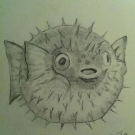 Puffer Fish !!! Puffer Fish Drawing Simple, Blowfish Drawing, Small Fish Drawing, Realistic Fish Drawing, Blowfish Tattoo, Pufferfish Tattoo, Pufferfish Drawing, Puffer Fish Tattoo, Puffer Fish Cartoon