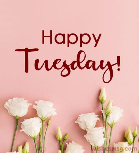 Tuesday Morning Wishes, Good Morning Tuesday Wishes, Tuesday Wishes, Happy Tuesday Images, Happy Tuesday Morning, Tuesday Images, Tuesday Greetings, Happy Monday Morning, Hello Tuesday