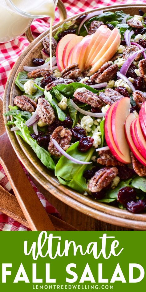 The ULTIMATE fall salad! Loaded with sliced apples, dried cherries, candied pecans, and crumbled blue cheese, it's everything you want in a salad... and even more delicious when you drizzle it with homemade apple cider vinaigrette! Apple Pecan Salad, Apple Cider Vinaigrette, Cider Vinaigrette, Autumn Salad Recipes, Fall Salad, Sliced Apples, Homemade Apple Cider, Sliced Pears, Pecan Salad