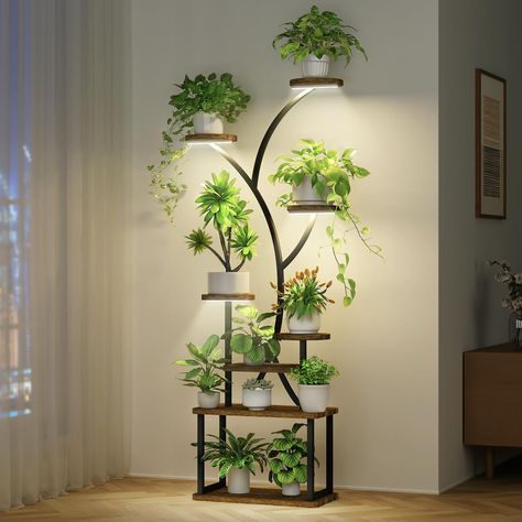 Plant stands outdoor