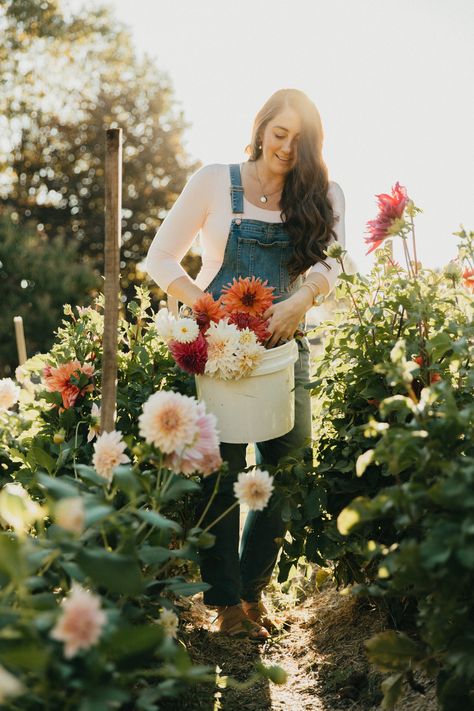 Dahlias Flower, Dahlia Flower Garden, Flower Garden Tips, Green Pumpkins, Nursery Landscape, Dahlia Garden, Gardening Seeds, Cut Flower Farm, First Garden