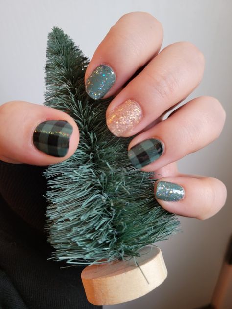 🌲 She's a Trooper 🍾 Champagne Sugar 🖤 Plaid About You 🌟 Chelsea Ya Later Mini Nails, Color Street Mixed Mani, Mixed Mani, Street Nails, Holiday Colors, Color Street Nails, Color Street, Chelsea, Champagne