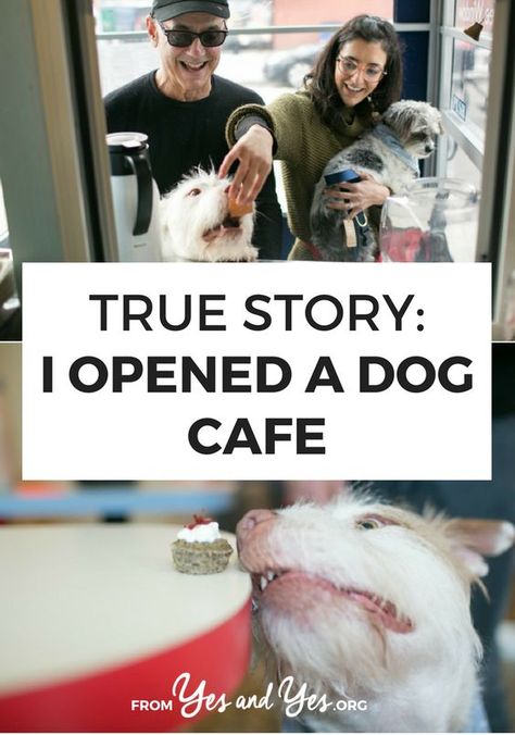 Dog Cafe Interior Design, Dog Friendly Cafe Ideas, Dog Cafe Ideas, Dog Cafe Design, Dog Shop Ideas, Dog Cafe Aesthetic, Dog Adoption Event, Animal Cafe, Pet Rooms