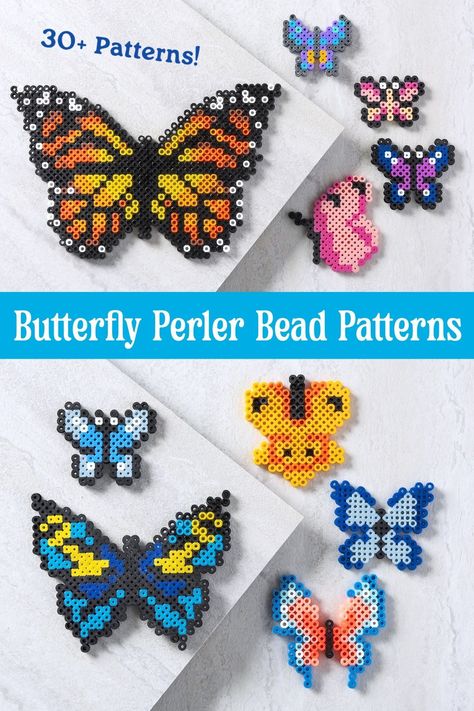 Get over 30 patterns for butterfly perler beads! There are a variety of colors and sizes for anyone who loves these winged insects. Monarch Butterfly Perler Bead Pattern, Hama Beads Patterns Butterfly, Perler Butterfly Pattern, Butterfly Fuse Beads, Perler Beads Ideas Cute Animals, Spring Perler Beads, Perler Bead Butterfly Patterns, Spring Perler Bead Patterns, Moth Perler Bead Patterns