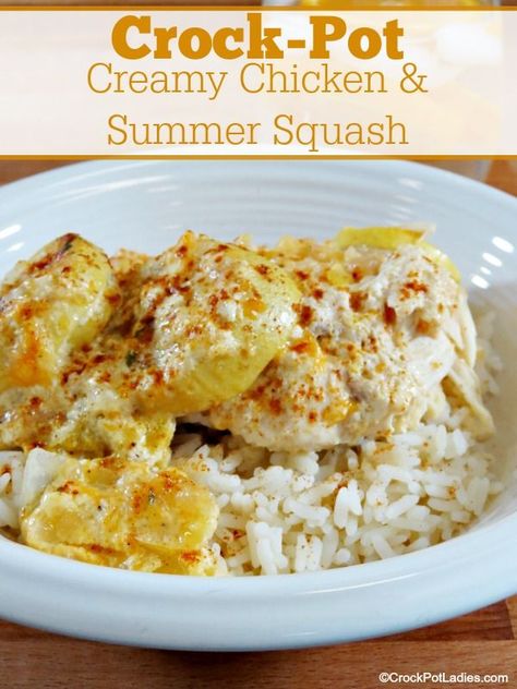 Crock-Pot Creamy Chicken And Summer Squash - Make the most of fresh summer squash with this easy recipe for Slow Cooker Creamy Chicken and Summer Squash. A great dinner for a summer day! | CrockPotLadies.com Crockpot Creamy Chicken, Summer Squash Casserole, Yellow Squash Casserole, Summer Squash Recipes, Yellow Squash Recipes, Slow Cooker Creamy Chicken, Vegetarian Crockpot Recipes, Chicken Recipes Video, Crockpot Recipes Beef