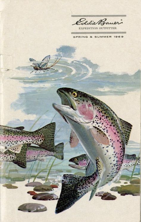 Trout Art, Fly Fishing Art, Hunting Art, Vintage Illustration Art, Vintage Spring, Vintage Fishing, Fish Painting, Outdoor Art, Western Art