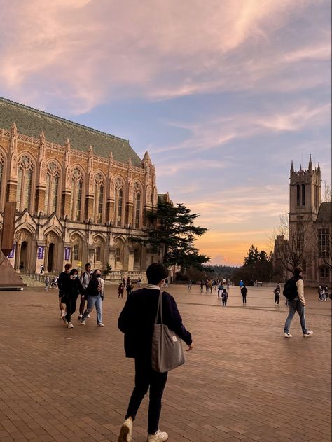 Uw Aesthetic, Usc University Aesthetic, Suzzalo Library, Columbia University Library Aesthetic, Uw College Aesthetic, Seattle University Campus, University Of Washington Seattle Campus, Uw Library, Usc Library