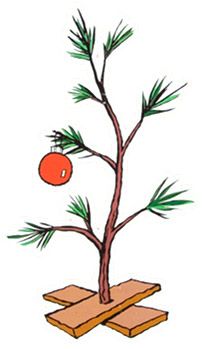 http://quotesgram.com/quotes-charlie-brown-christmas-tree/ Christmas Tree Quotes, Brown Christmas Tree, Charlie Brown Tree, Charlie Brown Christmas Tree, Christmas Tree Drawing, Drawing Designs, Funny Christmas Tree, Brown Christmas, Christmas Rock