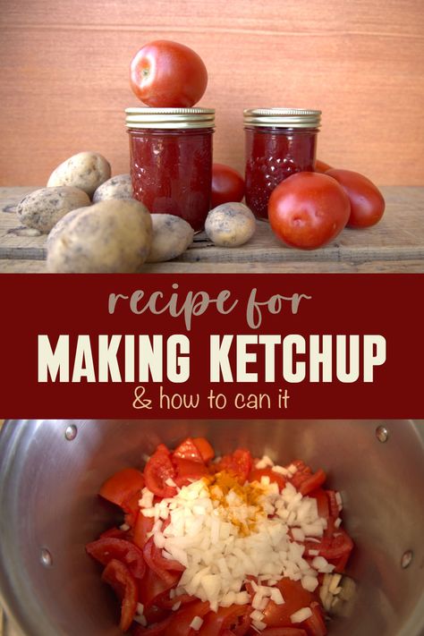 An easy homemade ketchup recipe for canning Ketchup For Canning, Ketchup Recipe For Canning, Ketchup Recipe Fresh Tomatoes, Apartment Homesteading, Tomato Ketchup Recipe, Keto Ketchup, Homemade Ketchup Recipes, Canning Tomatoes Recipes, Water Bath Canning Recipes