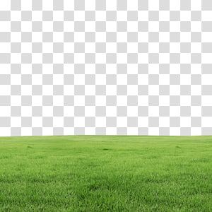 Retro Games Wallpaper, Cloud Illustration, Tree Plan, Grass Background, Desktop Background Pictures, Beach Background Images, Grasses Landscaping, Spring Background, Grass Field