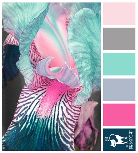 "Pink & Blue Iris - Teal, Blue, steel, sky, grey, blush, pink - Designcat Colour Inspiration Pallet" Scene Girl, Color Schemes Colour Palettes, Nature Color Palette, Color Palate, Color Inspo, Color Stories, Colour Schemes, Color Pallets, Color Swatches