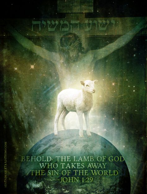 Christ Our Passover Lamb, "Behold the Lamb of God who takes away the sin of the world" (John 1:29). John 1 29, Behold The Lamb Of God, Passover Lamb, The Lamb Of God, Jesus Our Savior, Lamb Of God, The Lamb, Lion Of Judah, Prayer Warrior