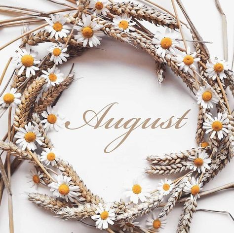 Hallo August, December Pictures, Hello April, Hello August, Nail Salon Decor, Rose Gold Wallpaper, Cute Fall Wallpaper, Flowery Wallpaper, Abstract Iphone Wallpaper