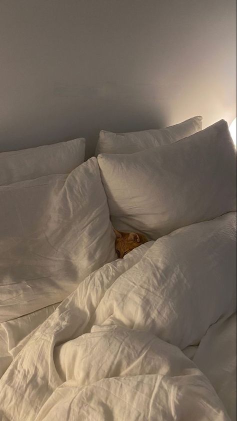 Cat in bed cute cat white aesthetic bed with cat laying in it White Sheets, Cat Sleeping, Cat Aesthetic, Feeling Blue, Orange Cat, Pretty Cats, Bedroom Inspo, My New Room, 귀여운 동물